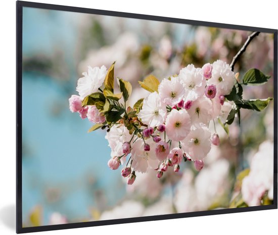 Affiche avec cadre Fleurs - Blossom - Printemps - 30x20 cm