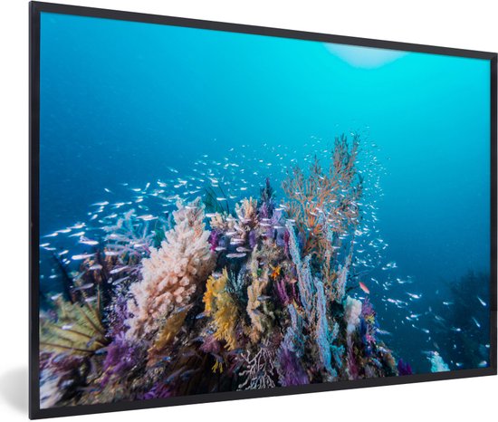 Photo encadrée - Récif de corail dans un cadre photo bleu profond noir 30x20 cm - Affiche encadrée (Décoration murale salon / chambre)