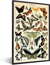 Fotolijst incl. Poster - Adolphe Millot - Vlinder - Dieren - Insecten - Vintage - 20x30 cm - Posterlijst