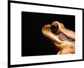 Photo encadrée - Grenouille gros plan sur fond noir cadre photo noir avec passe partout blanc 60x90 90x60 cm - Affiche encadrée (Décoration murale salon / chambre)