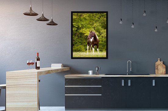 Cheval tacheté devant quelques arbres Cadre photo noir sans passe-partout