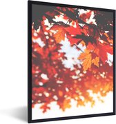 Fotolijst incl. Poster - Herfstbladeren - Landelijke decoratie - Zon - 30x40 cm - Posterlijst