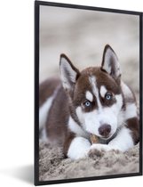 Photo encadrée - Puppy se trouve sur la plage Cadre photo noir sans passe-partout 40x60 cm - Affiche encadrée (Décoration murale salon / chambre)