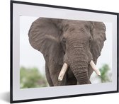 Cadre photo avec poster - Éléphant - Animaux - Herbe - Nature - 60x40 cm - Cadre poster