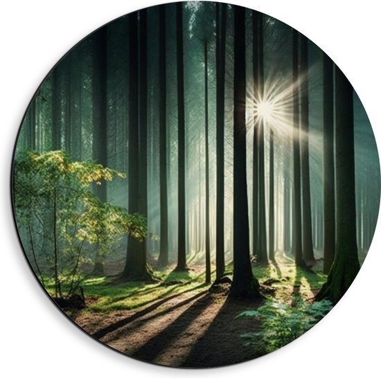 Dibond Muurcirkel - Bos - Bomen - Boompje - Zand - Zon - 40x40 cm Foto op Aluminium Muurcirkel (met ophangsysteem)