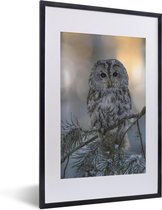 Fotolijst incl. Poster - Een close-up van een bosuil op een besneeuwde tak - 40x60 cm - Posterlijst