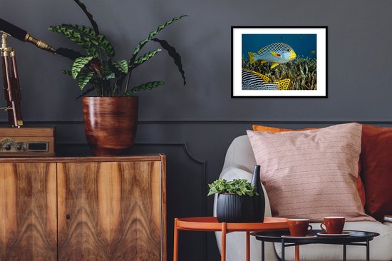 Affiche avec cadre Poisson - Fond - Mer - 40x30 cm