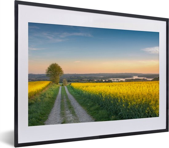 Chemin à travers une prairie fleurie à fleurs jaunes 30x20 cm - petit