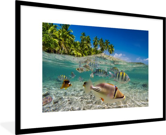 Fotolijst incl. Poster - Strand - Vissen - Tropisch - 120x80 cm - Posterlijst