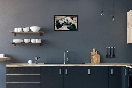 Panda mangeur de Bamboe 40x30 cm - petit