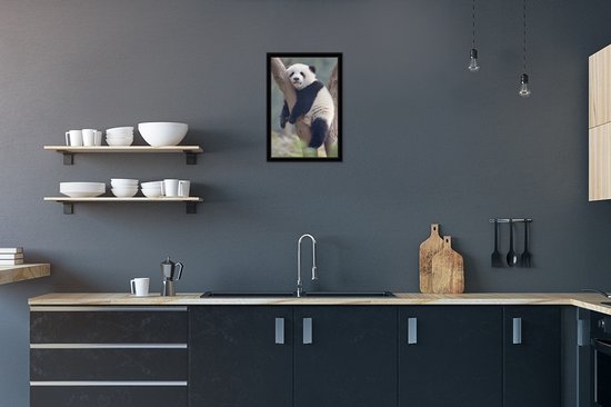 Jeune panda dort dans un arbre 20x30 cm - petit