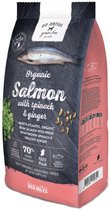 Go Native Grain Free Dog Salmon with Spinach & Ginger 4 kg - Hond
