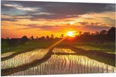 Vlag - Zonsondergang bij de Rijstvelden in Indonesië - 120x80 cm Foto op Polyester Vlag