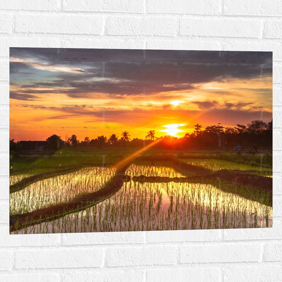 Muursticker - Zonsondergang bij de Rijstvelden in Indonesië - 80x60 cm Foto op Muursticker