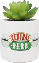 Friends Central Perk Plant Pot