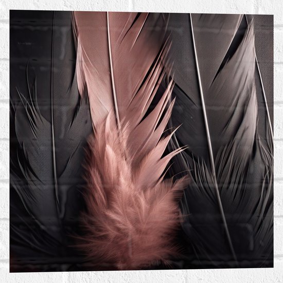 Muursticker - Rij Zwarte en Roze Veren - 50x50 cm Foto op Muursticker