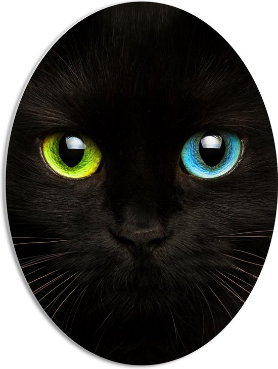 PVC Schuimplaat Ovaal - Zwartkleurige Kat met Groen en Blauw Oog - 42x56 cm Foto op Ovaal (Met Ophangsysteem)