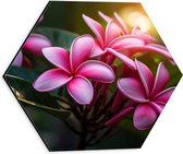 Dibond Hexagon - Bloemen - Bladeren - Roze - 30x26.1 cm Foto op Hexagon (Met Ophangsysteem)