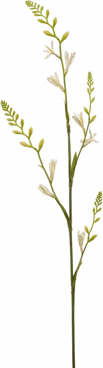 Fleurdirect Kunstbloem Montbretia - Polyester - Wit - 0 x 93 x 0 cm (BxHxD)