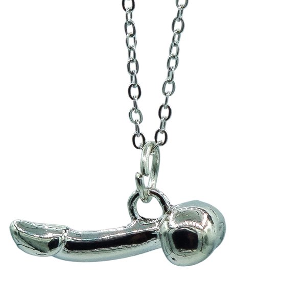 Stalen Ketting met Opvallende Penis Hanger