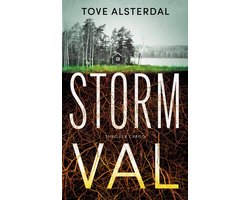Omslag van Stormval