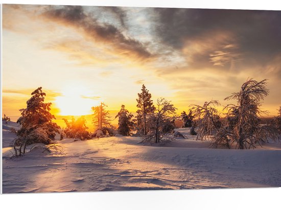 PVC Schuimplaat- Zon Zakkend achter Aantal Bomen in Besneeuwd Landschap - 105x70 cm Foto op PVC Schuimplaat