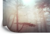 Fotobehang Bos In Mist