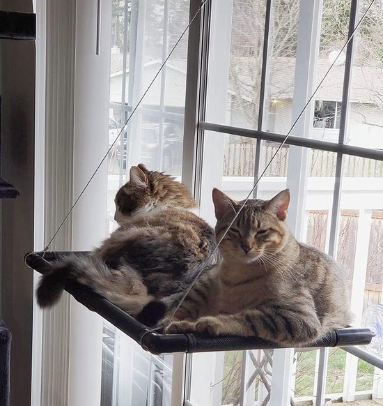 Kattenhangmat Vensterbank Nola & Coco® Kattenhangmat Voor Aan Het Raam - Raambaars - Katten Kattenhangmat Bol