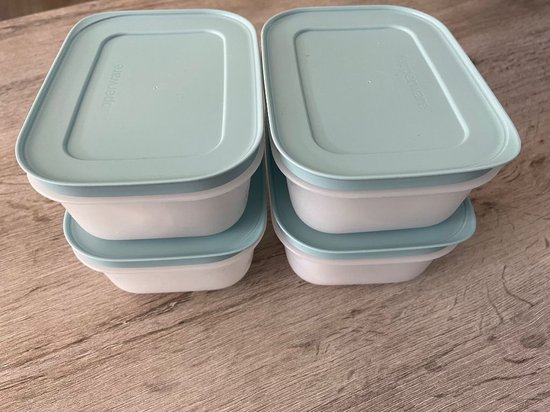 Boîtes congélateur / igloo Tupperware 4 pièces (nouvelle couleur)