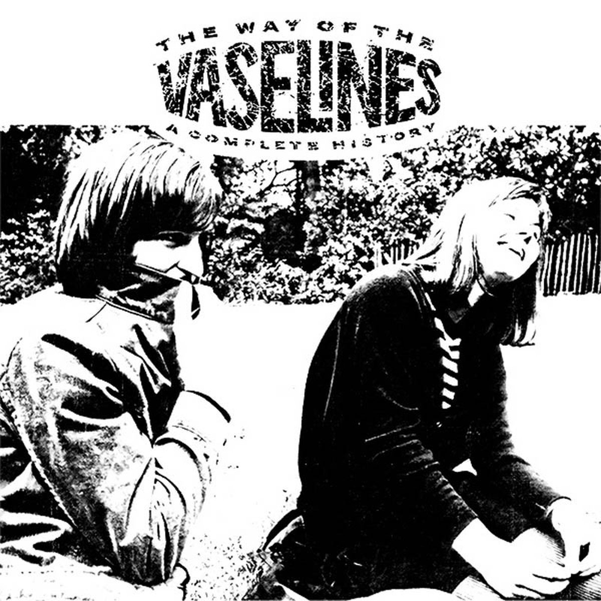 The Vaselines - The Way Of The Vaselines (CD)