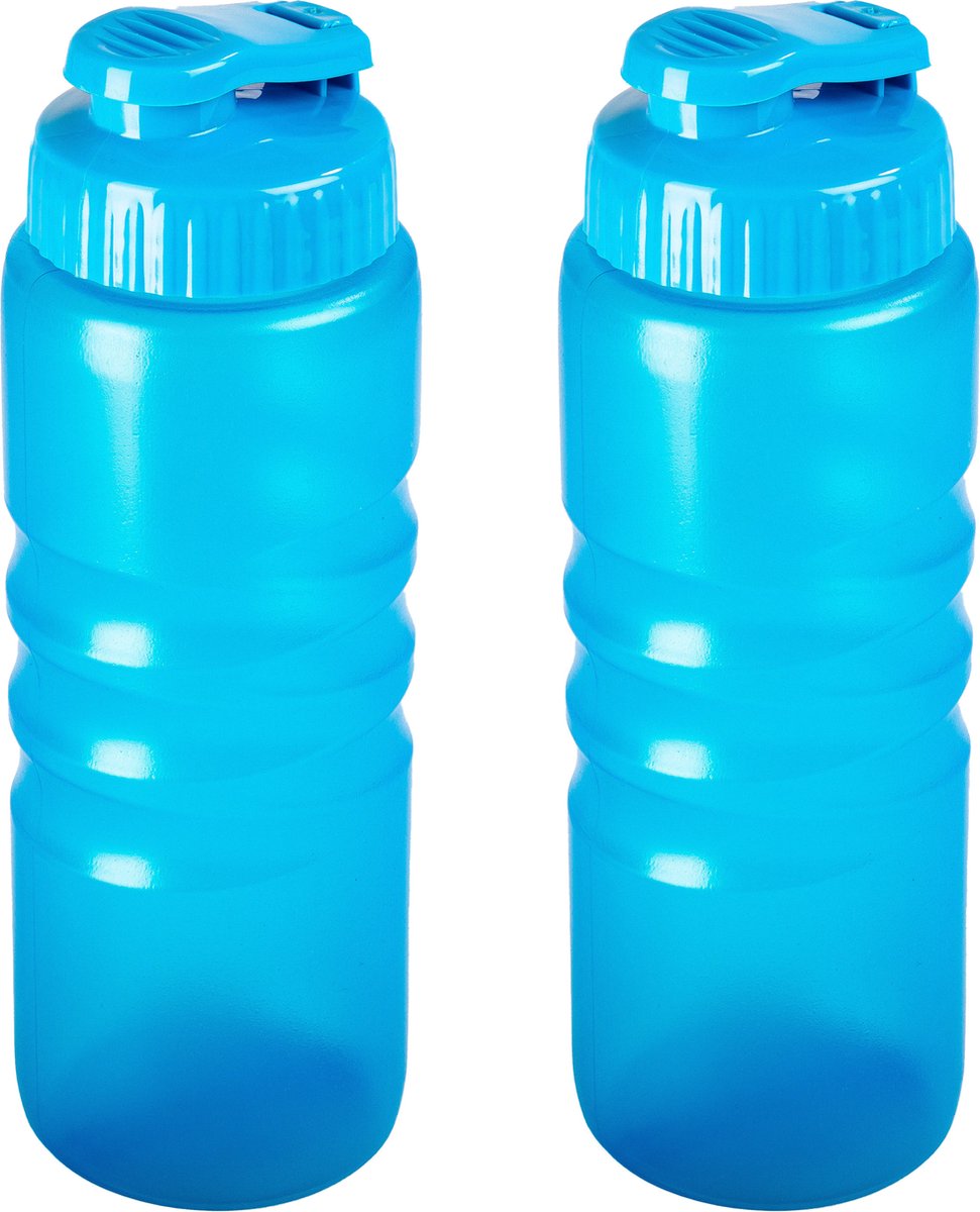 Plasticforte Drinkfles/waterfles/bidon - 2x stuks - 650 ml - transparant/blauw - kunststof