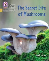 Big Cat Phonics for Little Wandle Letters and Sounds Revised-The Secret Life of Mushrooms