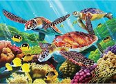 Cobble Hill family puzzle 350 pieces - Molokini current