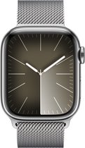 Origineel Apple Watch 1-9/SE 41/40/38MM Milanees Bandje Zilver