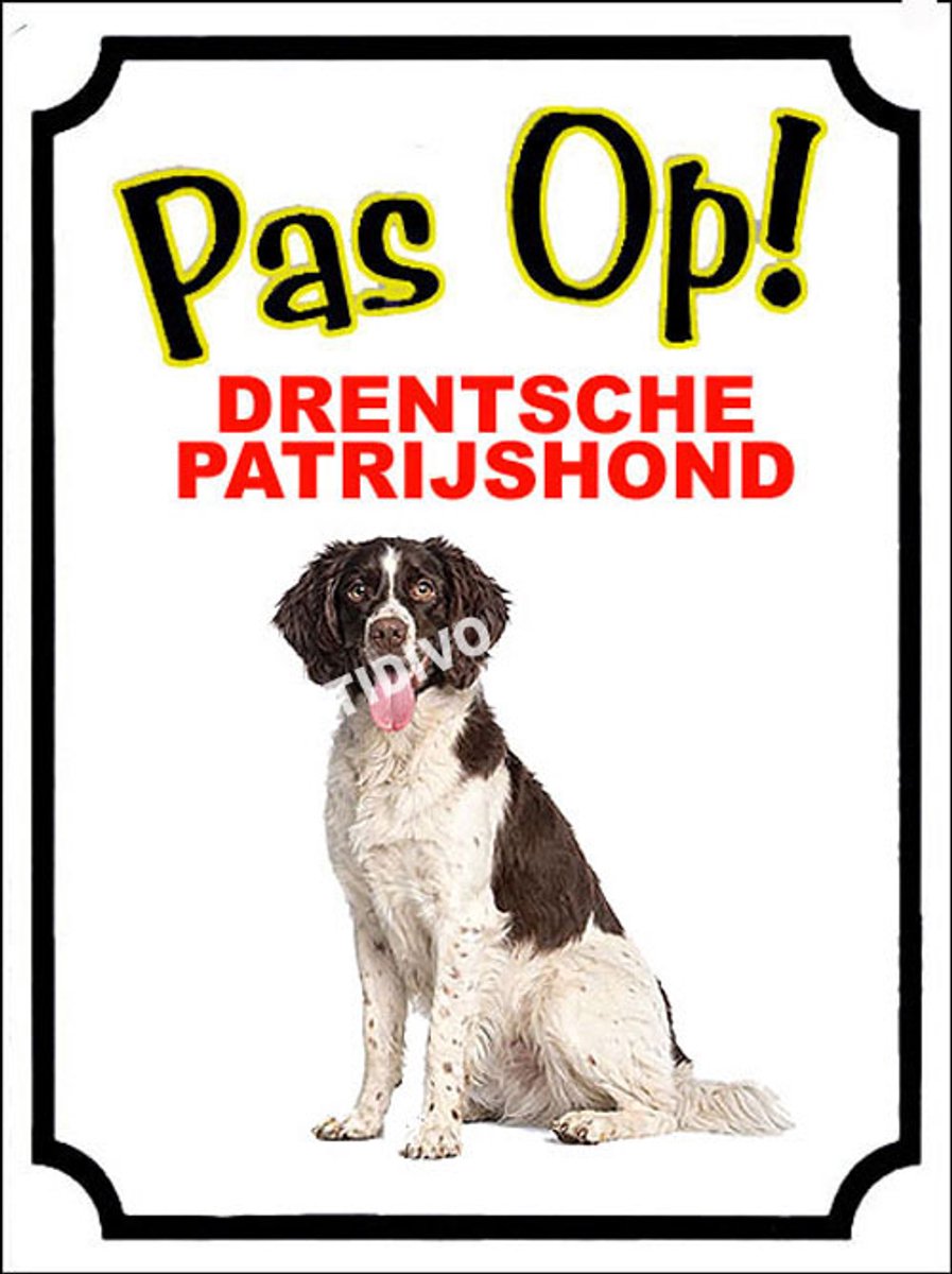 Drentsche Patrijshond 16