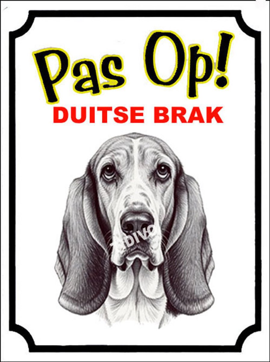 Duitse Brak 16