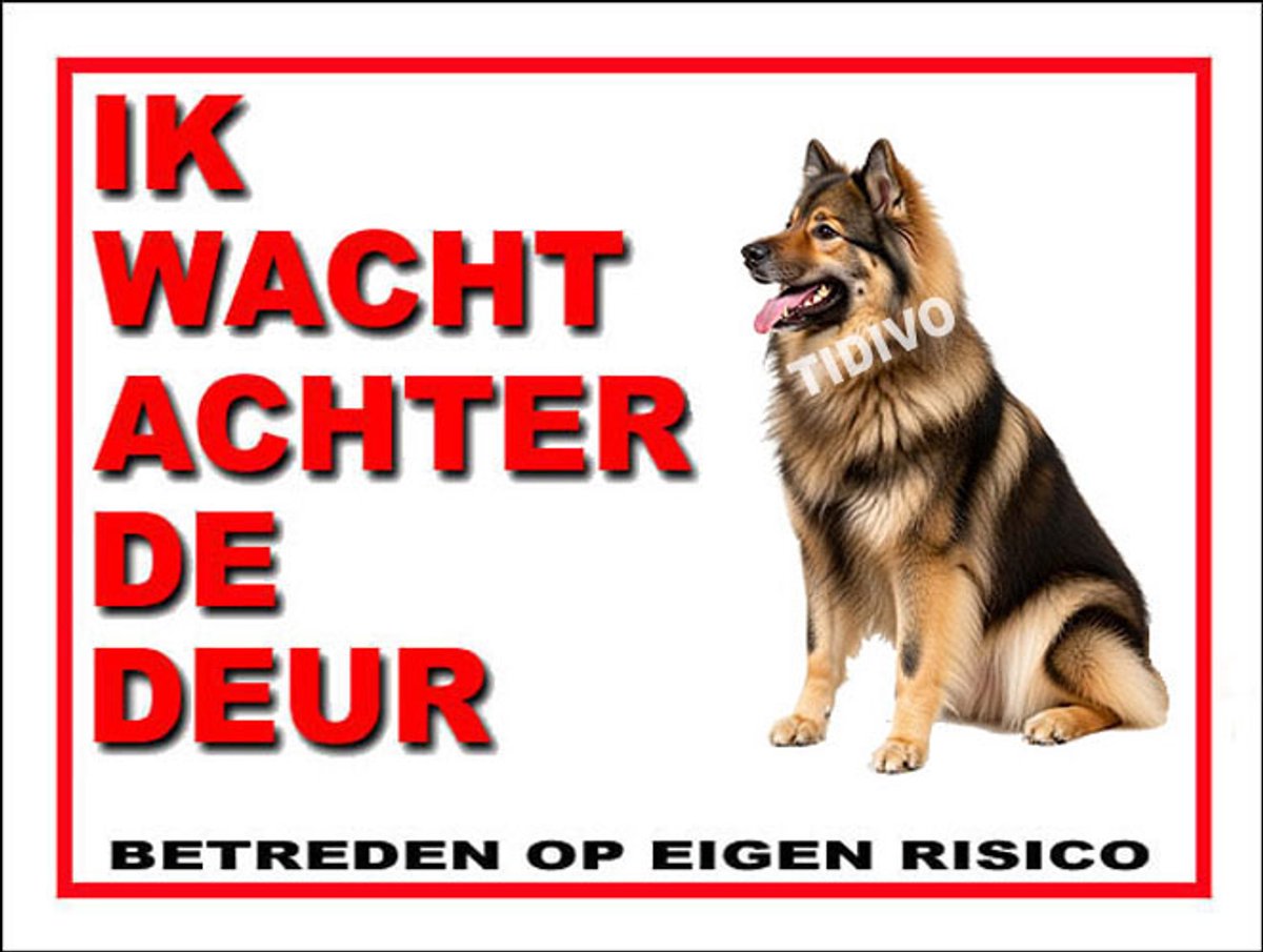Eurasier 10