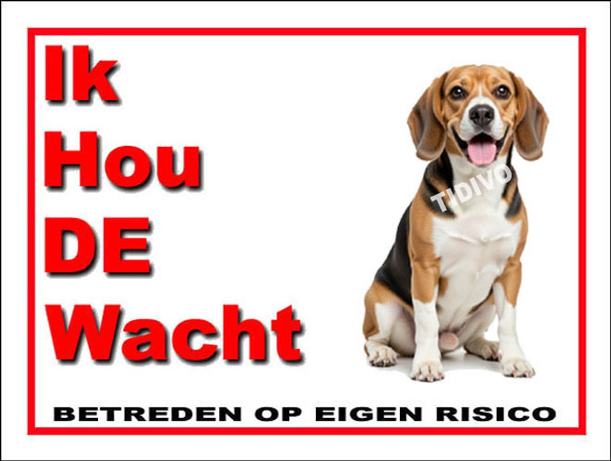Finse Brak 7
