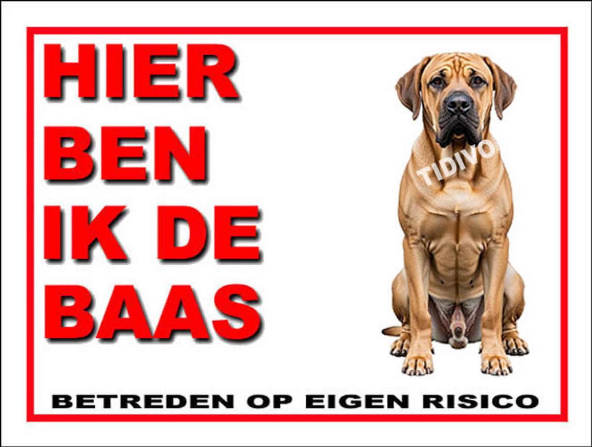 Fila Brasileiro 2