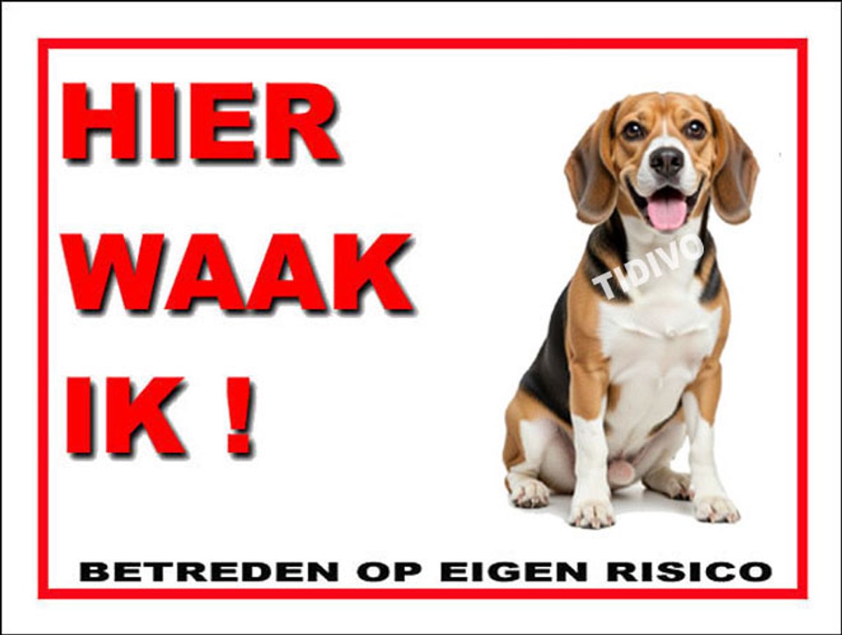 Finse Brak 3
