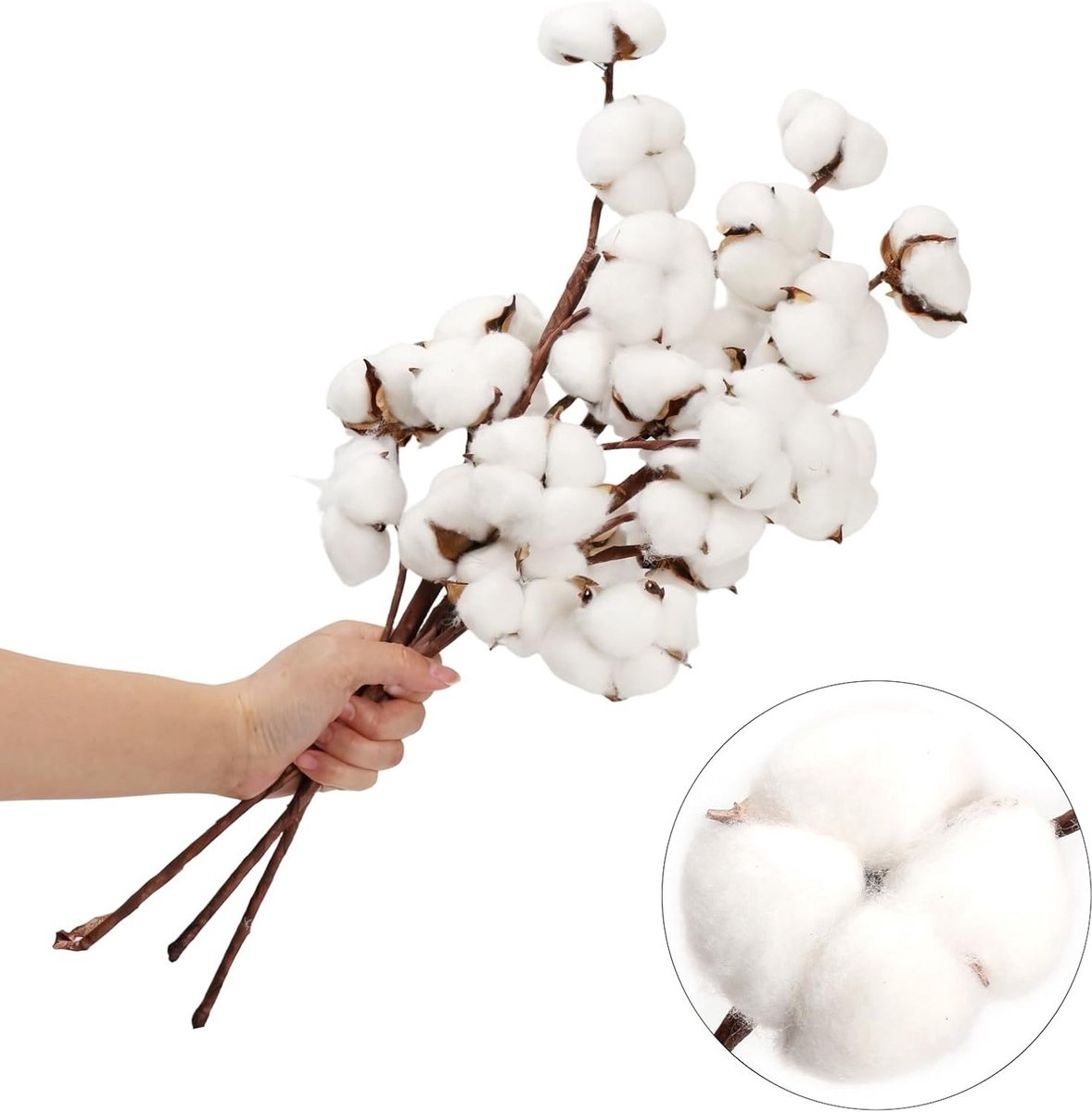 Natuurlijke gedroogde bloemen set van 3, witte kunstbloemen voor vaasdecoratie, bruiloften en interieurstyling