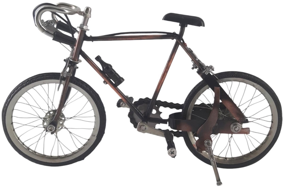 Wielrenfiets Matthieu van metaal