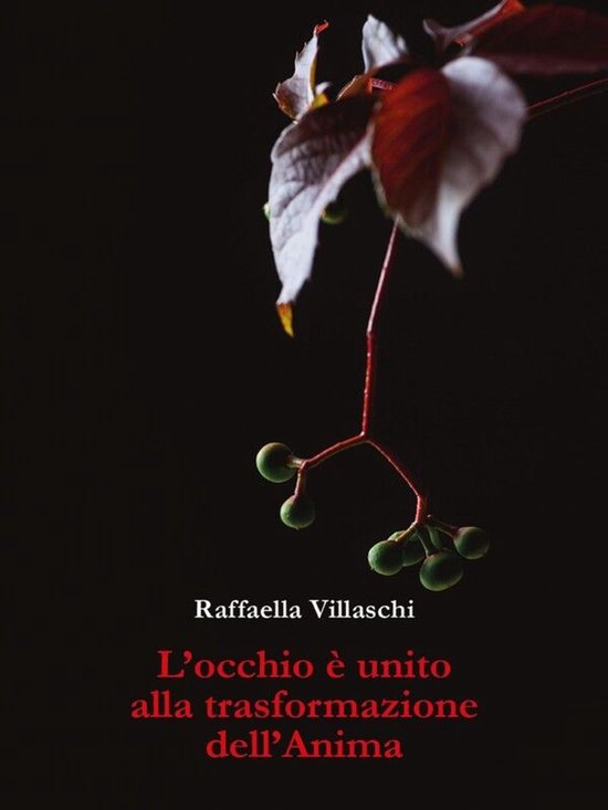 L'Occhio è unito alla trasformazione dell'Anima - cover