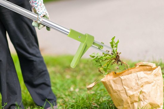 Kinzo Onkruidsteker - Tuingereedschap met Lange Steel - Onkruidverwijderaar met Drie Tanden - Ergonomisch Ontwerp - 100 cm van Merkloos	 — afbeelding 5