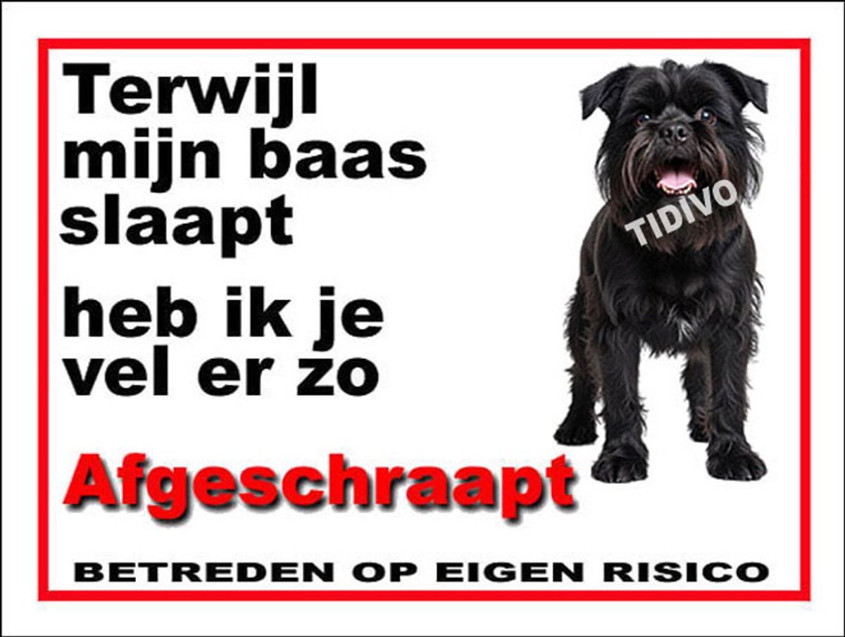 Griffon Belge 15