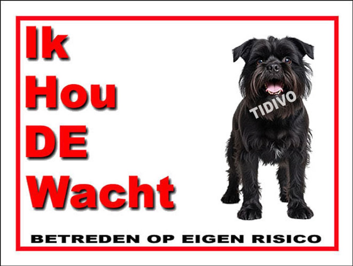 Griffon Belge 7