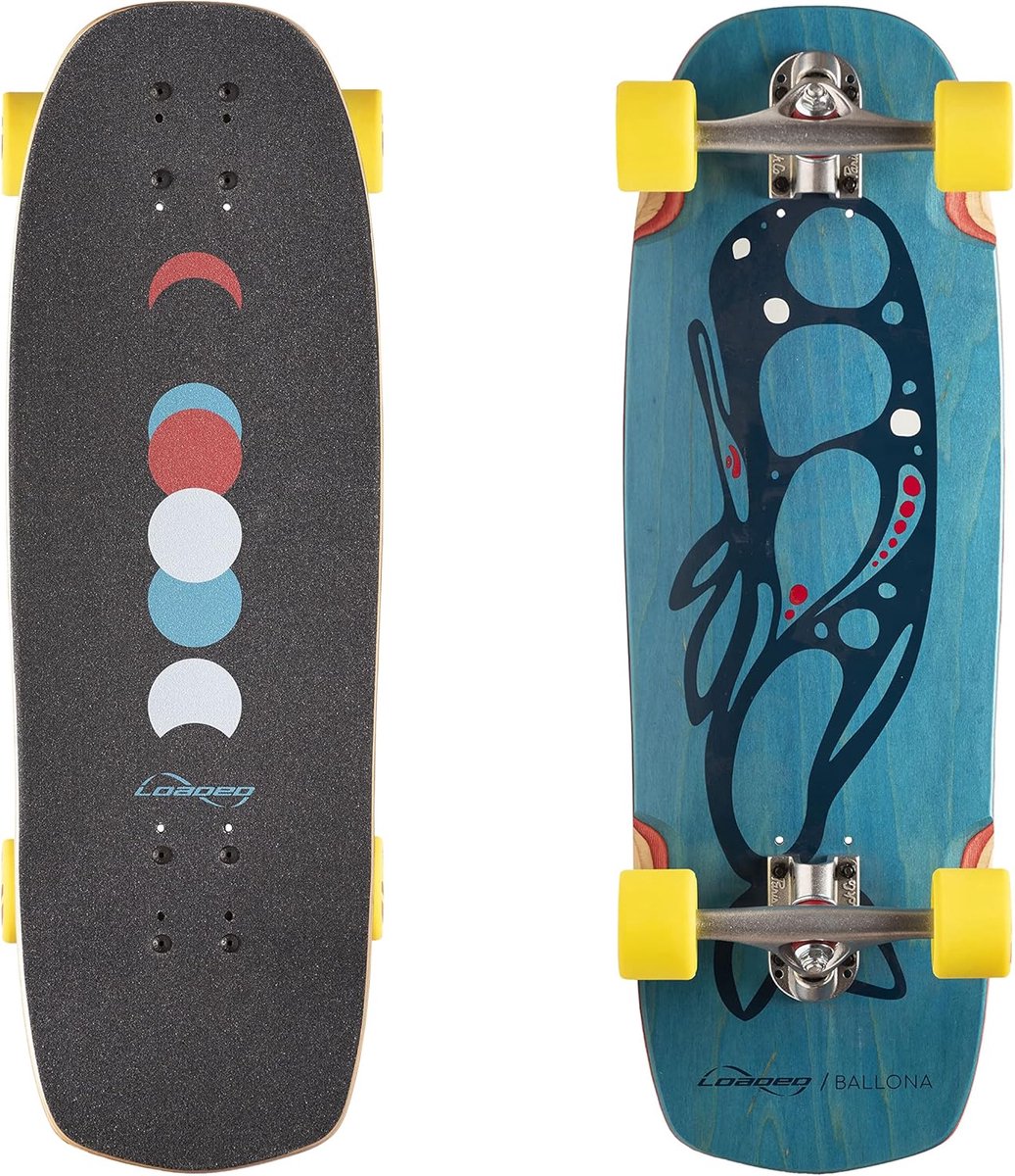 Compleet Longboard Skateboard Mini Cruiser Voor Stadsverkeer en Slalom