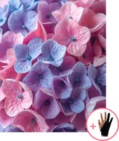 HobbyMania Originals Schilderen Op Nummer Volwassenen - Pastel Hortensia Bloemen - Inclusief Verf Penselen en Tekenhandschoen - Kleuren Op Nummer - Paint By Number Volwassenen - 40x50 cm