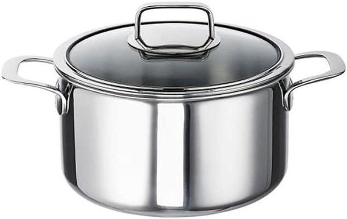 Grote Pan - Kookpot Braadpan - Maaltijden Bereiden - Drielaags Materiaal - 24 cm - Zilverkleurig