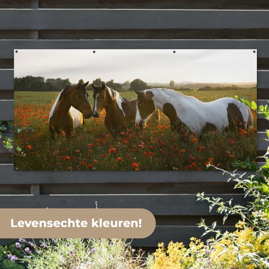 Affiche de clôture Paarden - Fleurs - Soleil - 200x100 cm - Toile de jardin